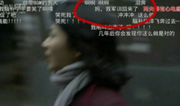 我要看曰批的视频,深度解析其内容与影响